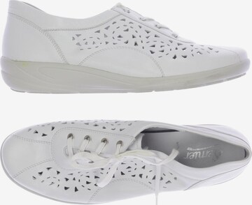 SEMLER Sneakers & Trainers in 43 in White: front