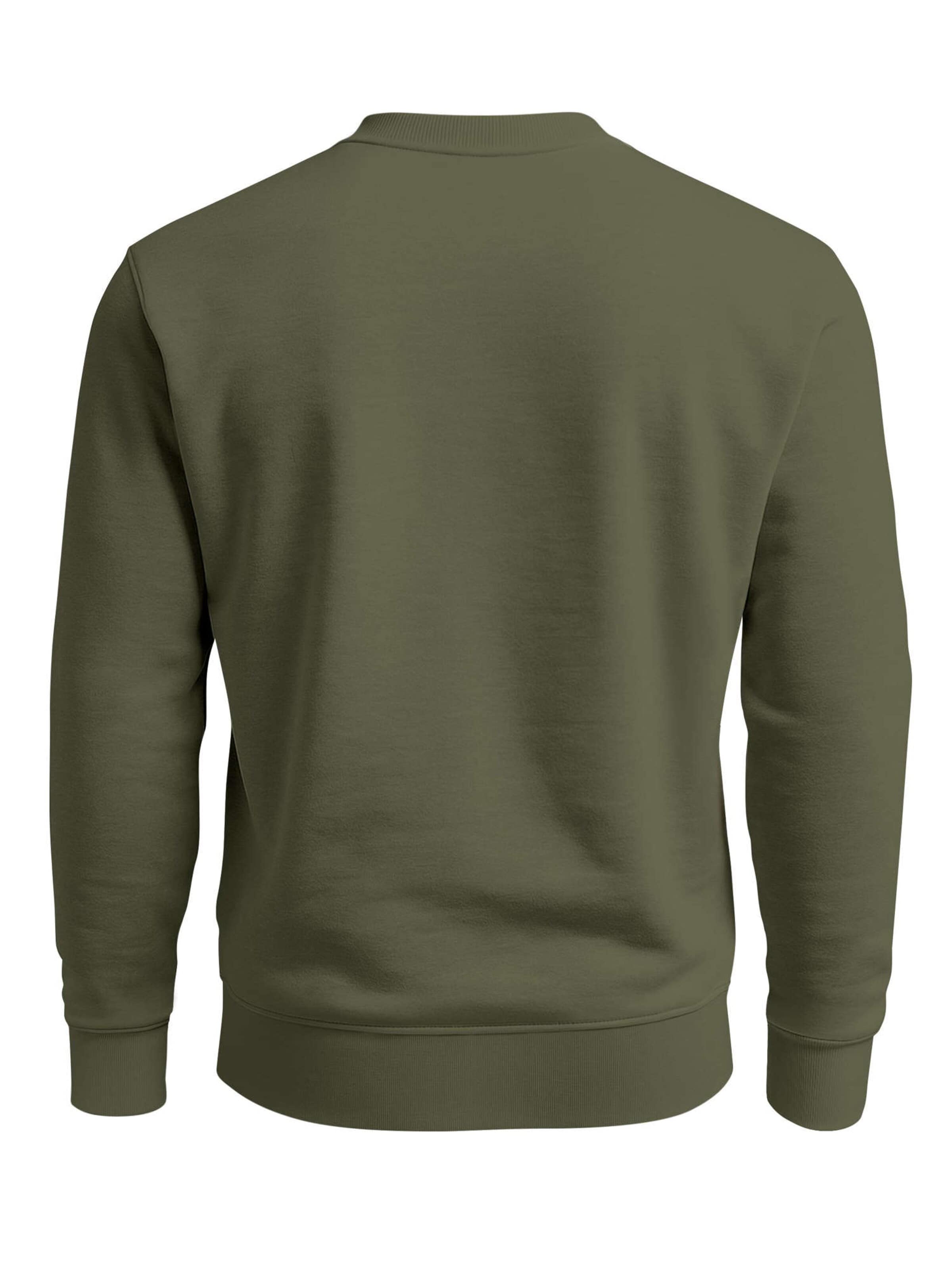 Neverless Sweatshirt 'Kompass' in Green