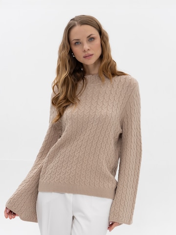 Passioni Pullover‌‌‌‌‌‌‌ in Grau: Vorderseite