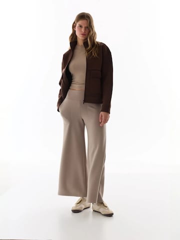 Veste d’hiver 'Jacken' Penti en marron