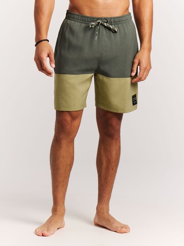 PROTEST Board Shorts 'PRTCabus' in Green