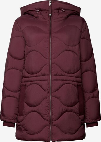 ESPRIT Winter Coat in Purple: front