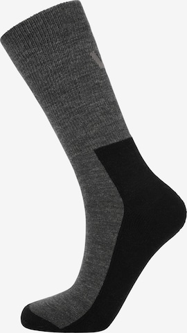 Whistler Socke 'Yang' in Grau: predná strana