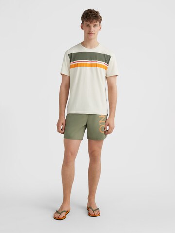 O'NEILL Boardshorts in Grün