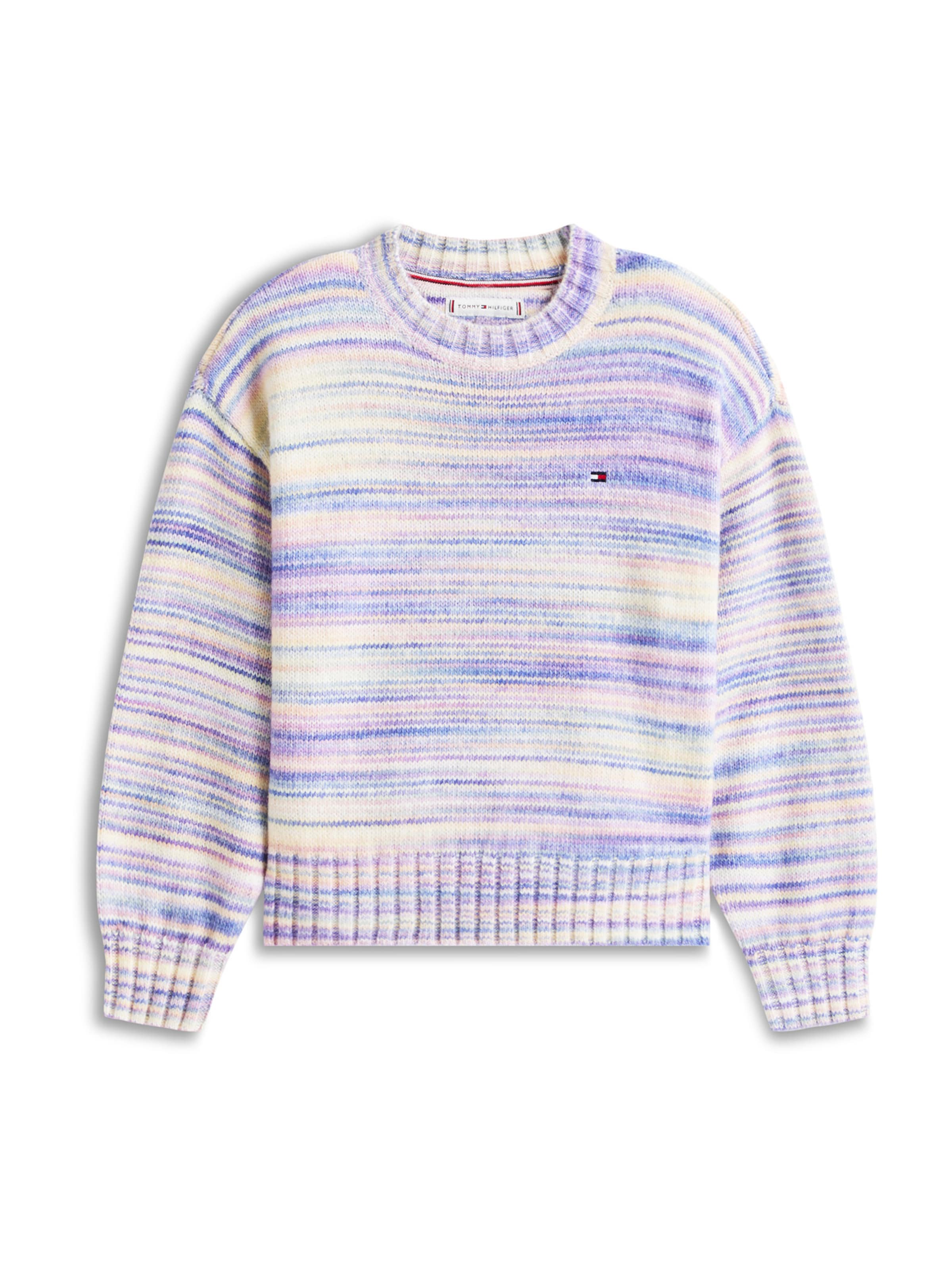 mėlyna TOMMY HILFIGER Megztinis: priekis