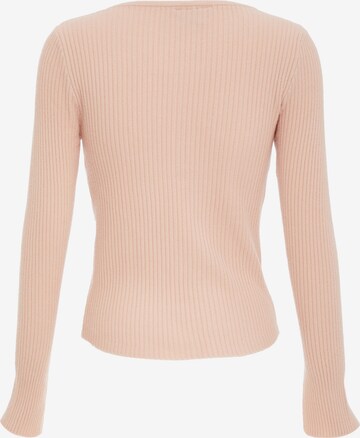 IPARO Sweater in Pink