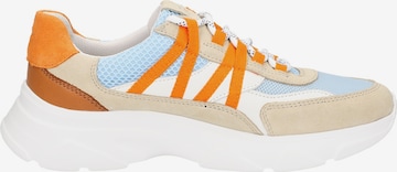 SIOUX Sneakers 'Liranka' in Mixed colors