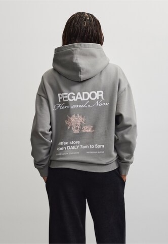 Sweat-shirt 'Aosta' Pegador en gris : devant