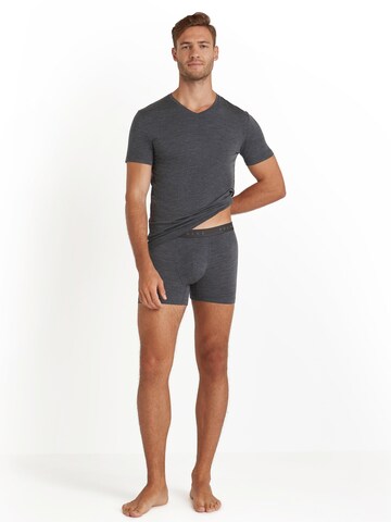 FALKE Boxer shorts in Grey