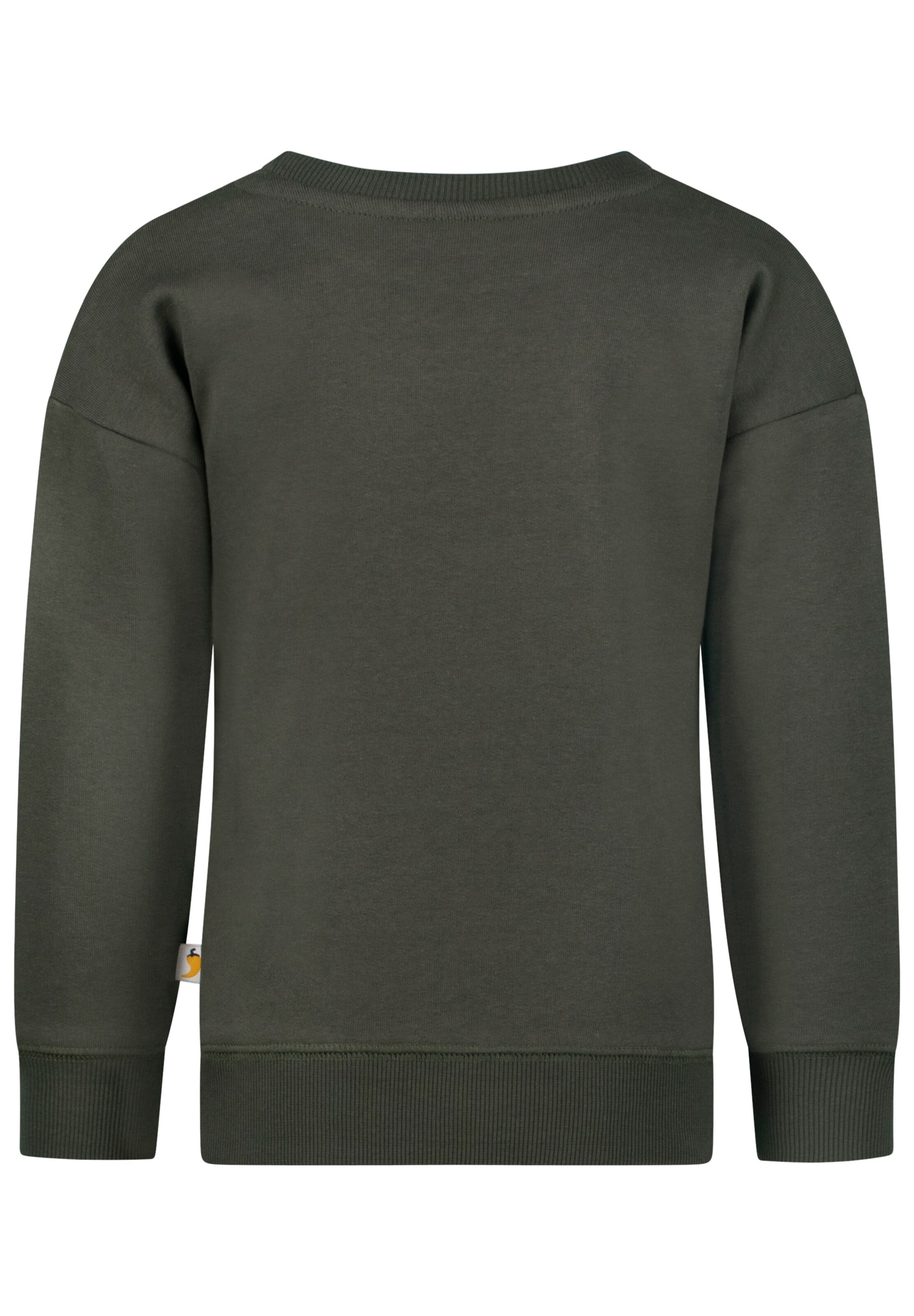 SALT AND PEPPER Sweatshirt 'Athletic' in Green