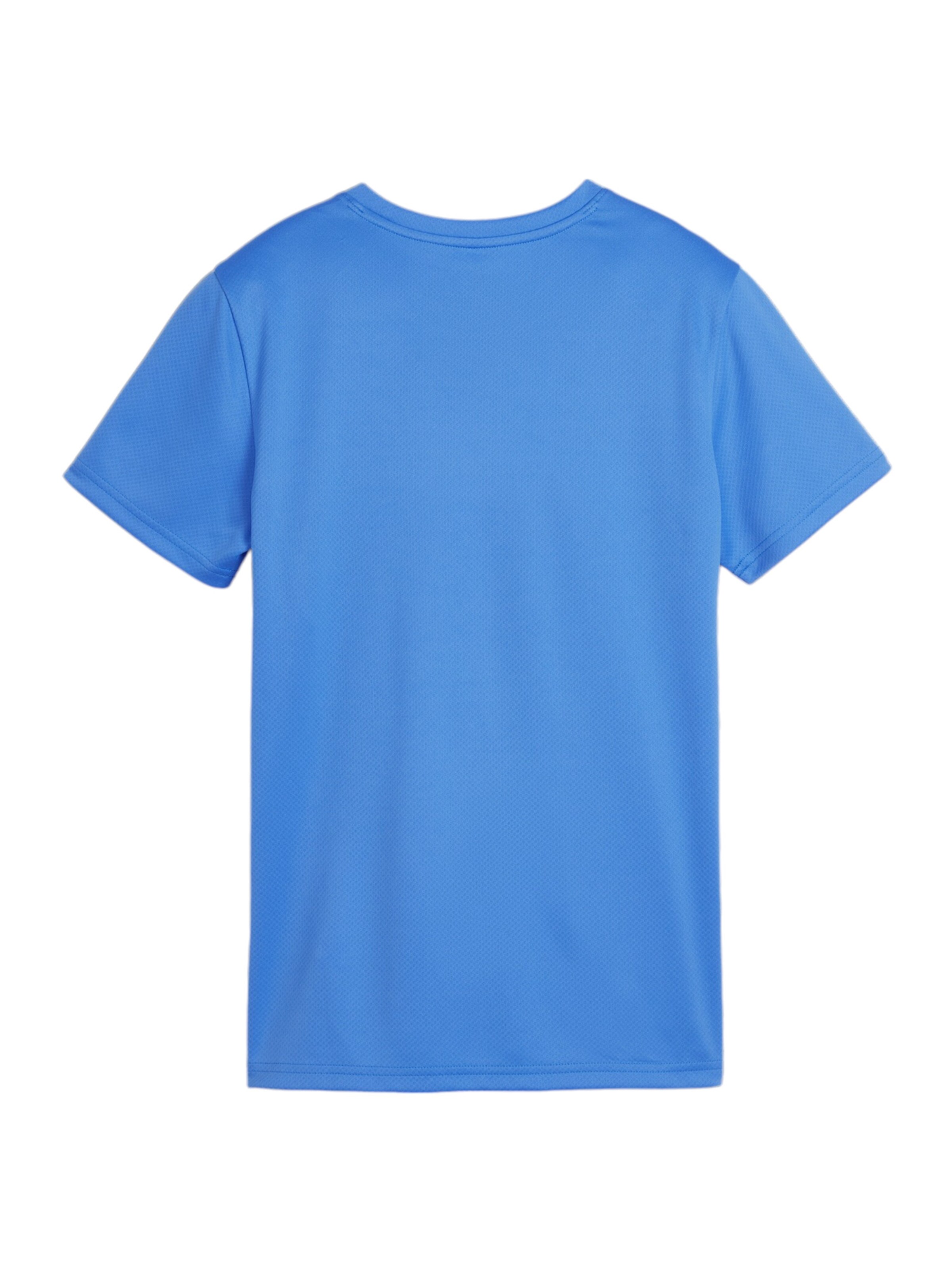 PUMA Performance Shirt 'Team Goal' in Blue