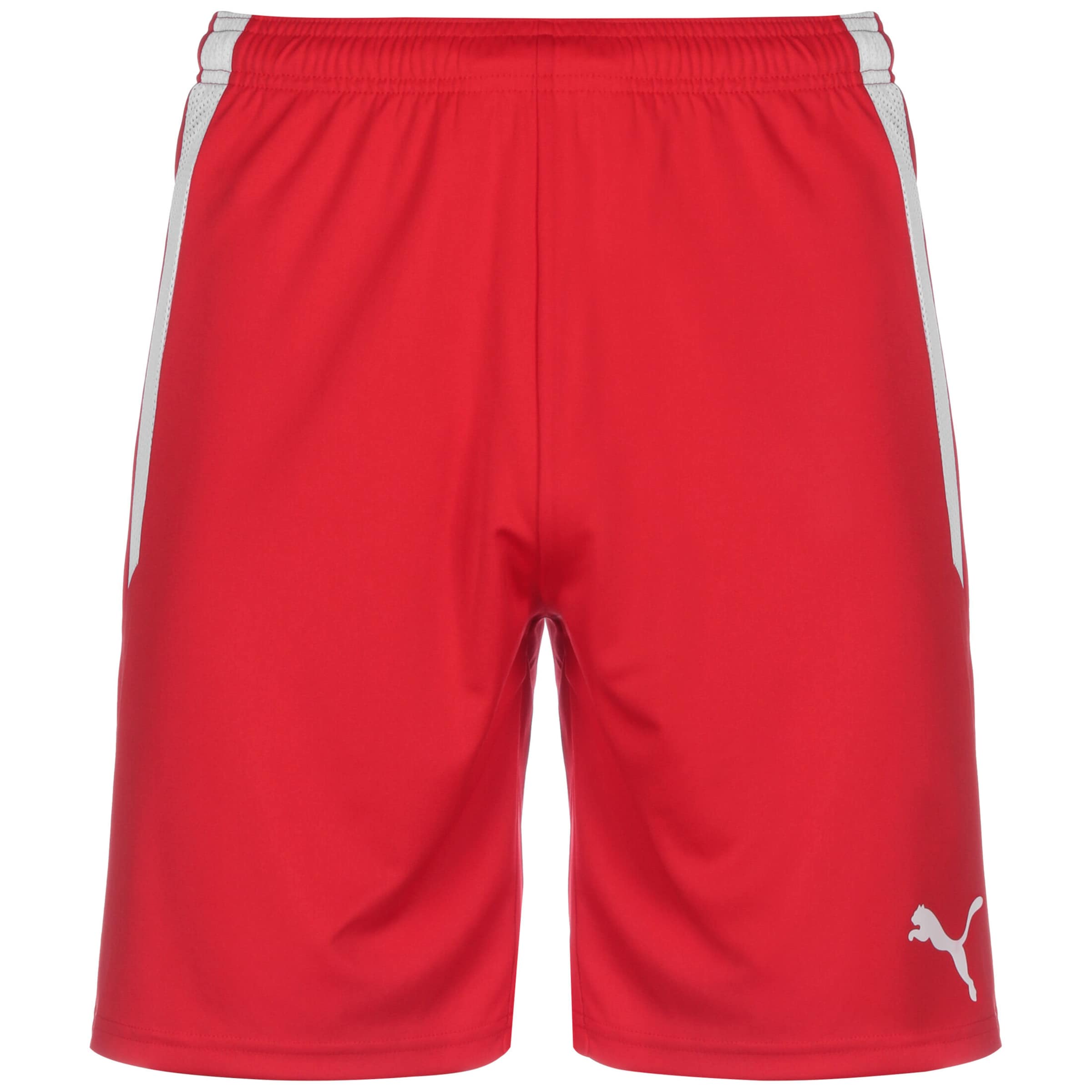PUMA Sportshorts 'TeamLiga' in Rot: Vorderseite