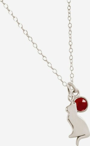 Gemshine Ketting in Zilver: voorkant