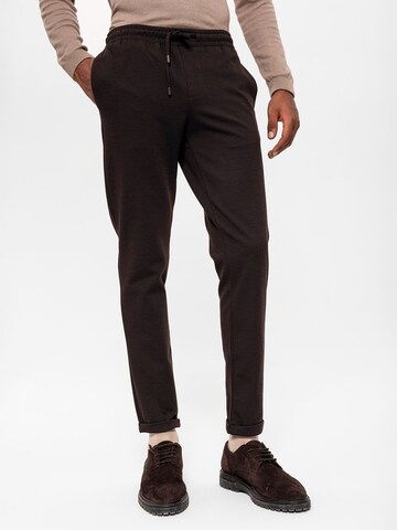 Antioch - regular Pantalón en marrón