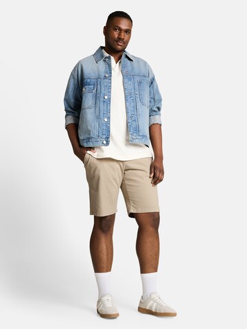 TOM TAILOR Men + Regular Chino in Bruin