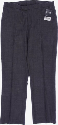 Tiger of Sweden Pants in M in Grey: front