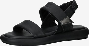 IGI&CO Sandals in Black: front