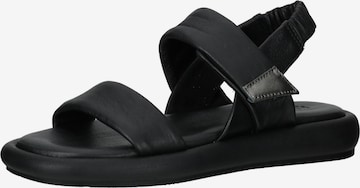 Sandalo di IGI&CO in nero: frontale