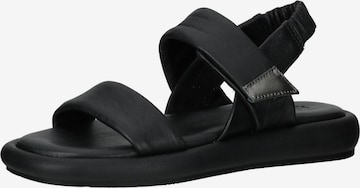 IGI&CO Sandals in Black: front