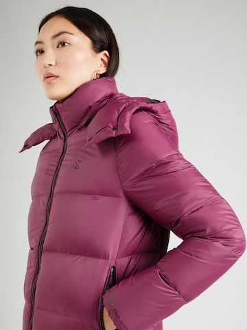 Calvin Klein Jeans Winter Jacket 'Archetype' in Purple