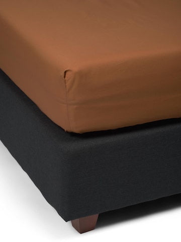 ESSENZA Bed Sheet 'Minte' in Brown