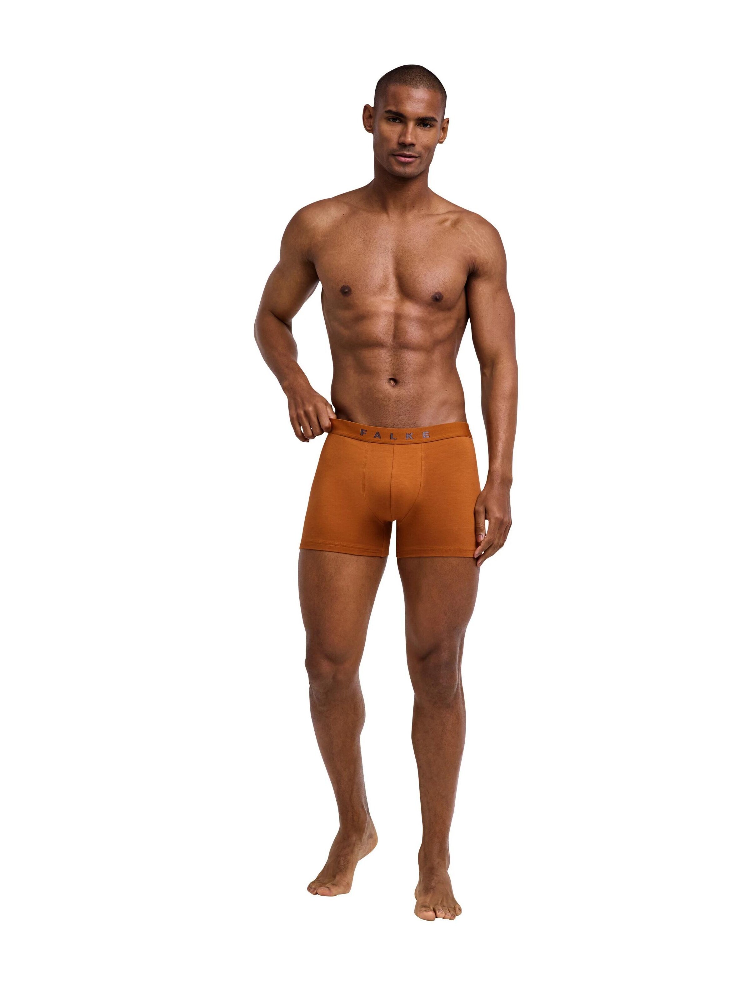 FALKE Boxer shorts '2-Pack' in Mixed colors