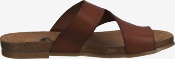 COSMOS COMFORT T-Bar Sandals in Brown