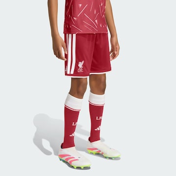 ADIDAS PERFORMANCE - regular Pantalón deportivo 'FC Liverpool 26/27' en rojo
