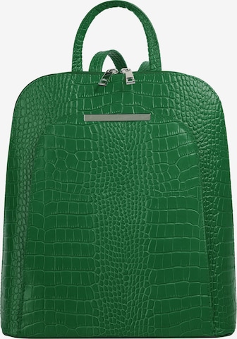 Cluty Backpack in Green: front