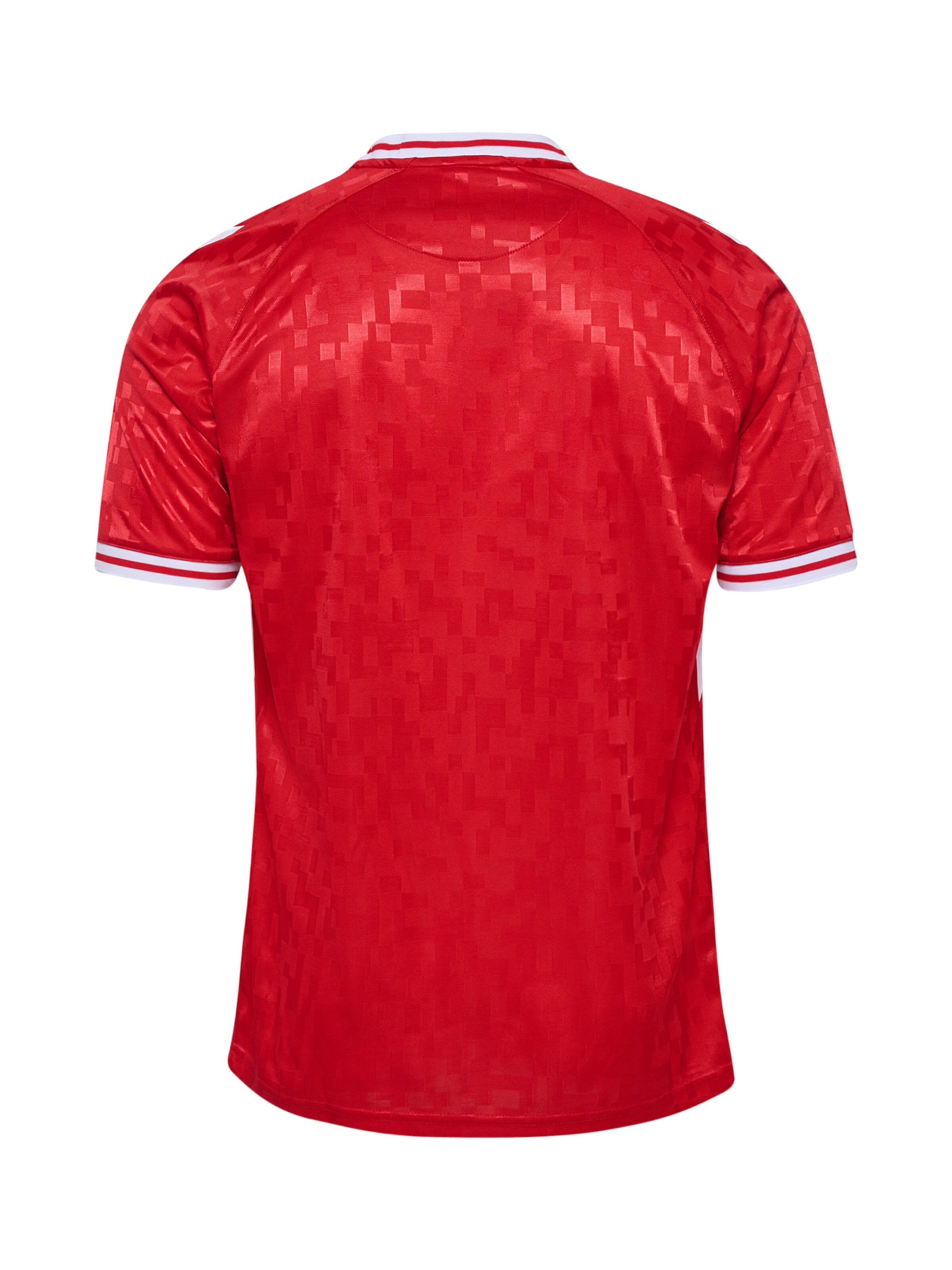 Hummel Trikot 'Dänemark 2024 Home' in Rot