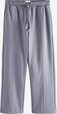 Wide leg Pantaloni de la Next pe albastru: față