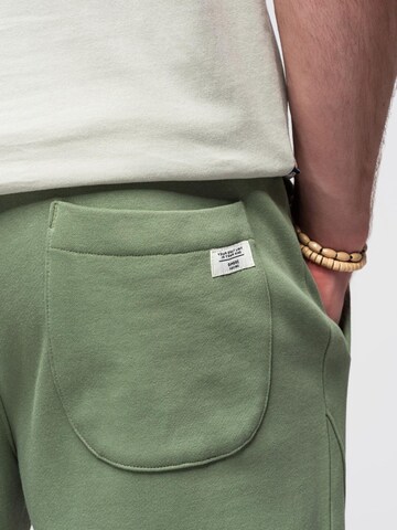 Ombre Tapered Trousers in Green