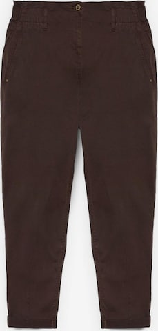 Fiorella Rubino Hose in Braun: Vorderseite