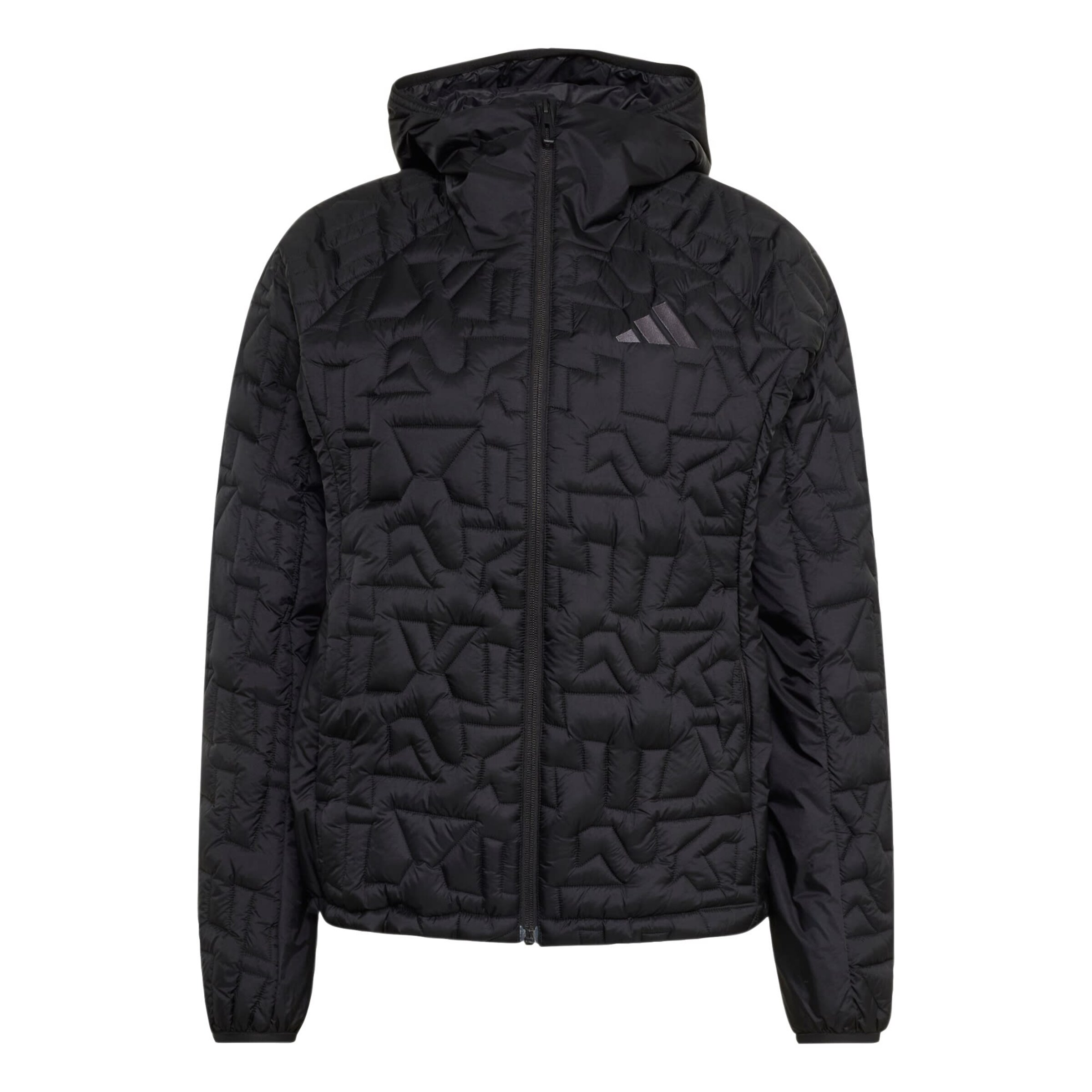 ADIDAS TERREXOutdoor jakna 'Xperior' - crna boja: prednji dio