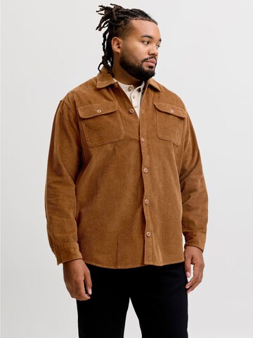 JACK & JONES Regular fit Business shirt in Brown