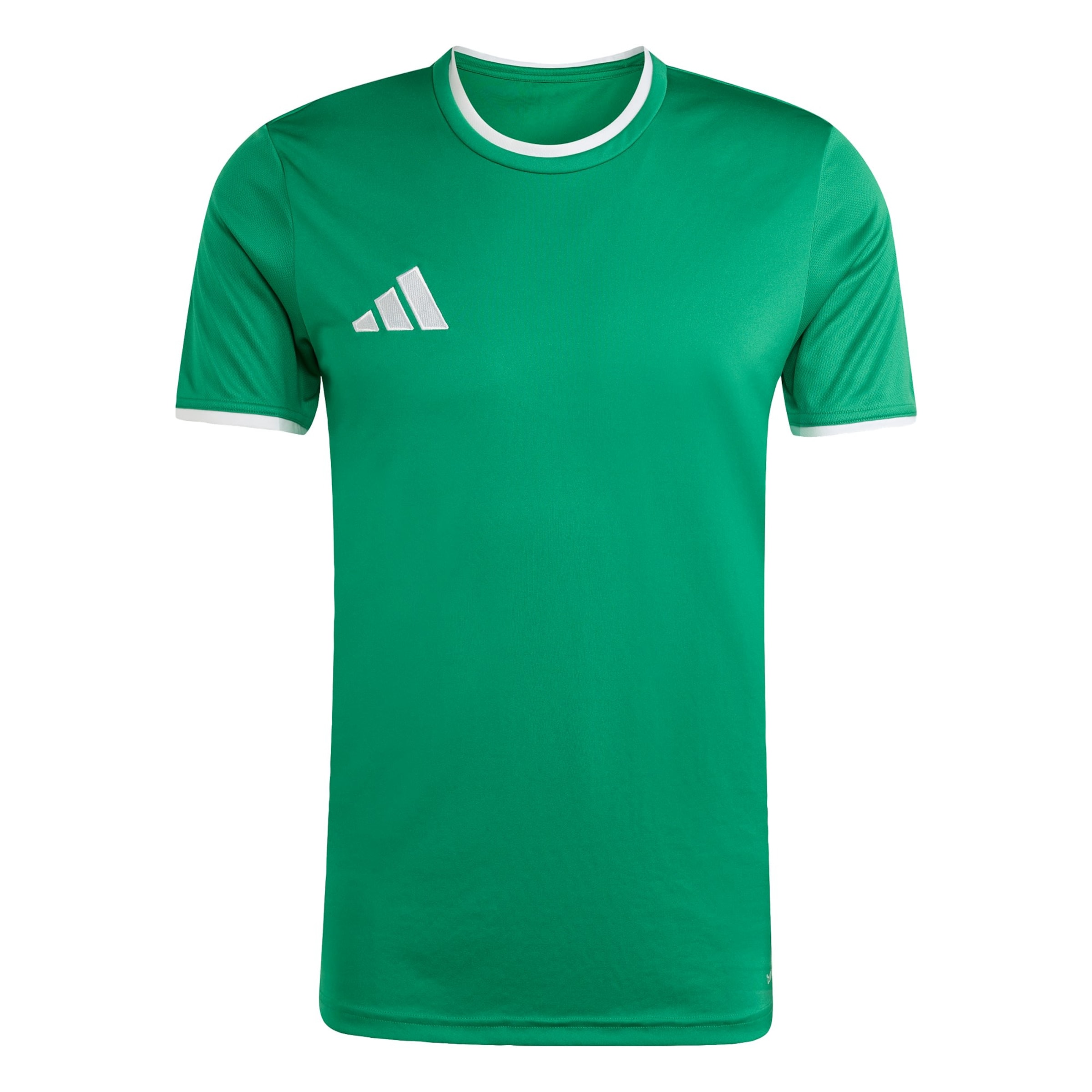 ADIDAS PERFORMANCE Performance shirt 'Entrada26' in Green: front