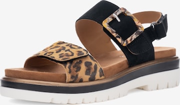 ARA Strap sandal in Black: front