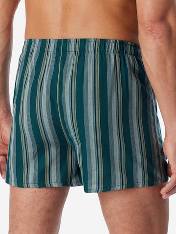 SCHIESSER Boxershorts 'Web' in Groen