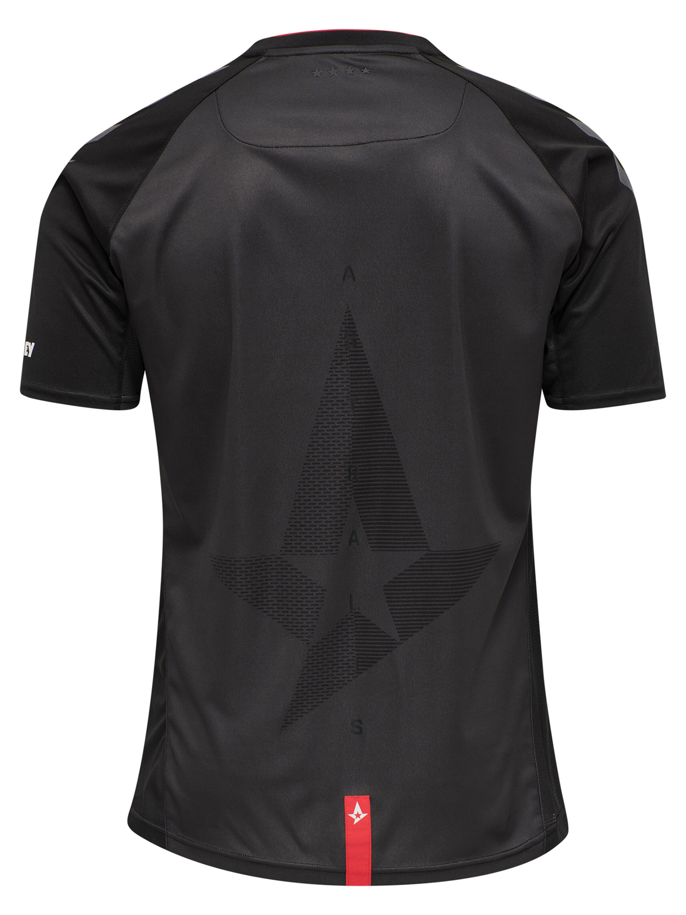 Hummel Funktionsskjorte 'ASTRALIS 20/21' i sort