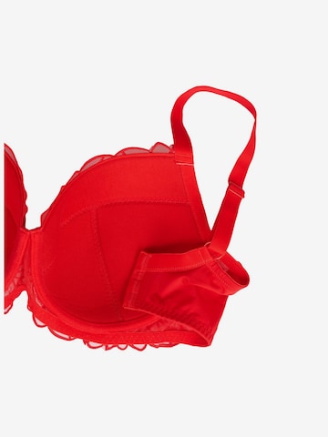 Devoted by Zizzi T-shirt Bra in Red