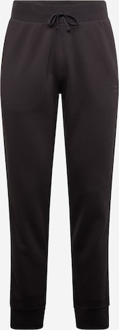 Champion Authentic Athletic Apparel Hose in Grau: Vorderseite