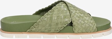 SIOUX Mules ' Libuse-700 ' in Green