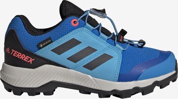 ADIDAS TERREX Ниски обувки в синьо