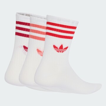 ADIDAS ORIGINALS - Calcetines en blanco