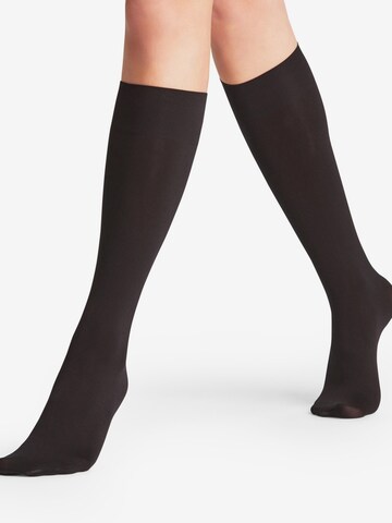 Chaussettes fines FALKE en noir