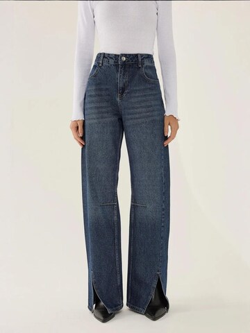 Wide leg Jeans di Hiccup in blu: frontale