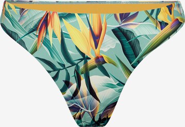 Marc & André Bikini Bottoms 'Fresh Tropics' in Green: front