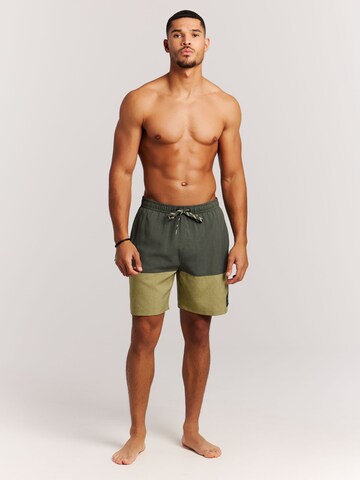 PROTEST Swimming shorts 'PRTCabus' in Green