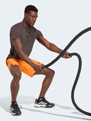 ADIDAS PERFORMANCE regular Sportsbukser 'Designed For Training' i brun: forside