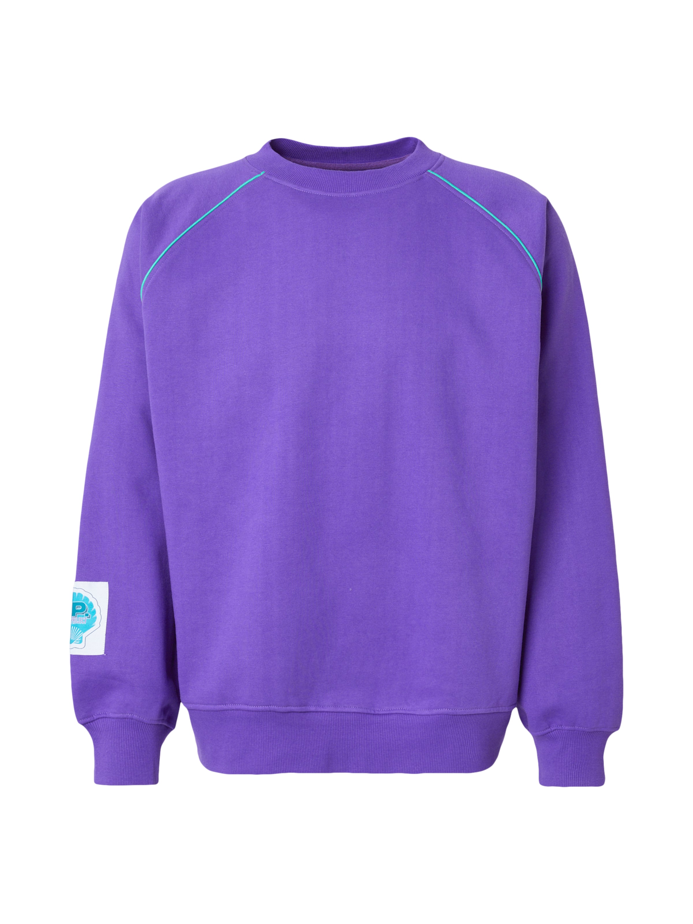 Denim Project Sweatshirt 'JAMES' in Purple: front